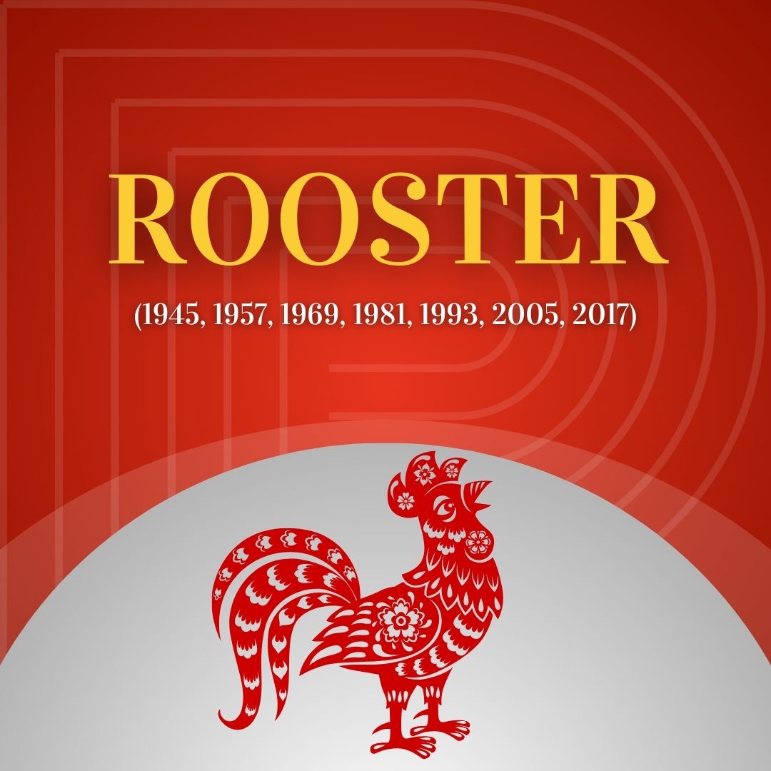 Rooster